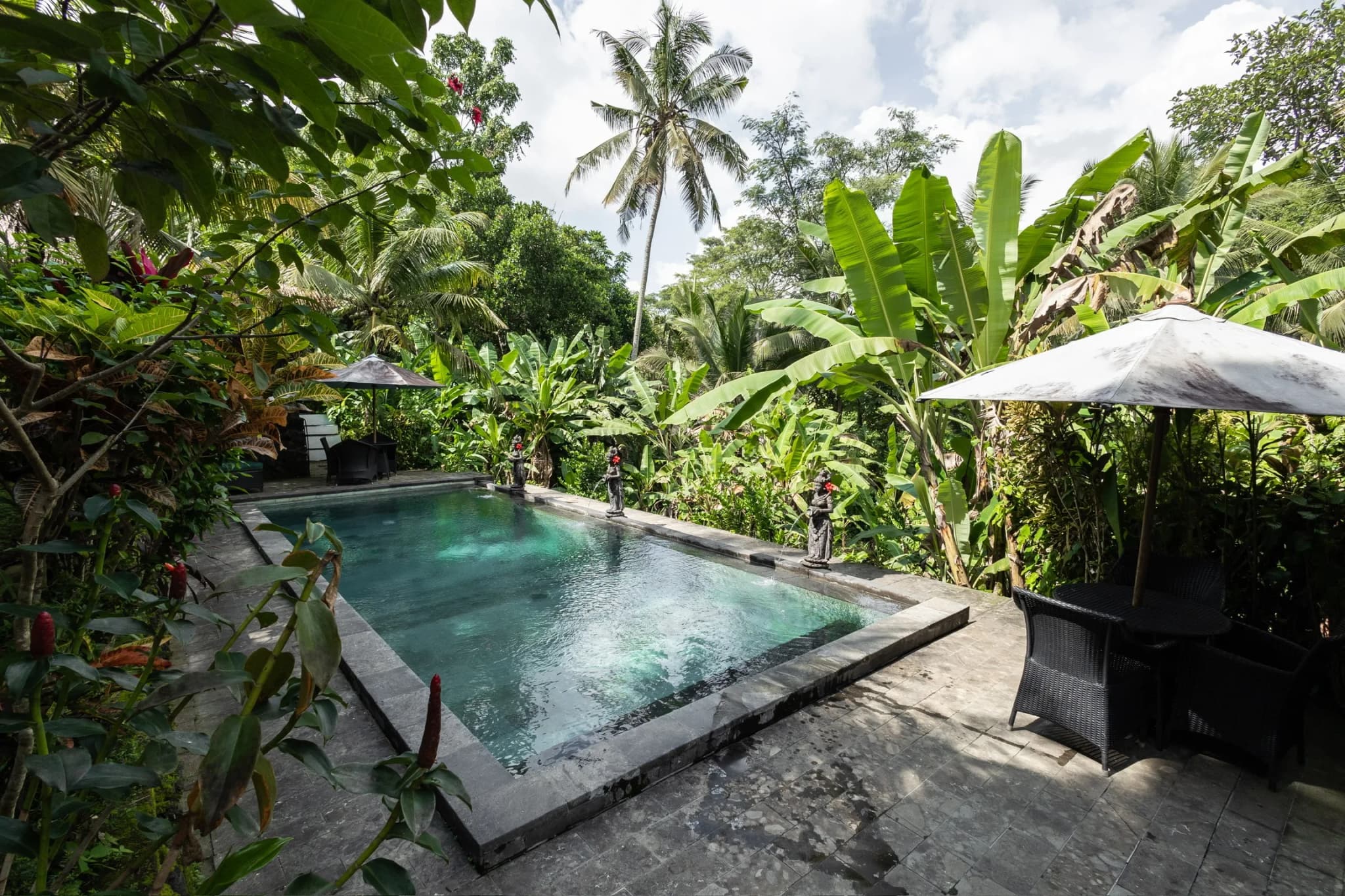 Awaken: A 7 night women's wellness retreat in Bali in Ubud, Indonesia